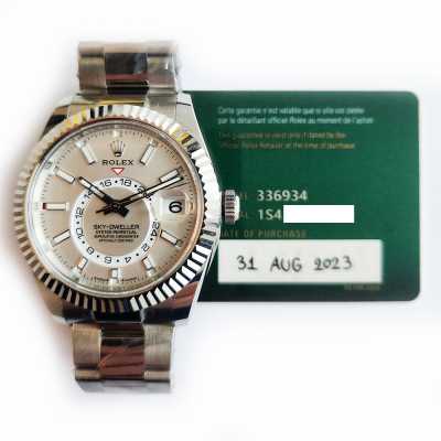 Sky-Dweller Steel and White Gold