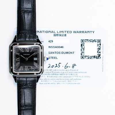Cartier Santos-Dumont WSSA0046 Large Steel Sophistication Preowned
