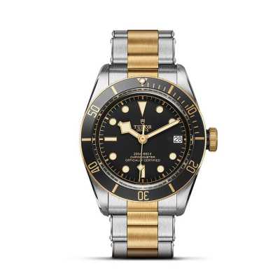 Tudor Black Bay M79733N-0008 41mm steel yellow gold black dial two-tone date new