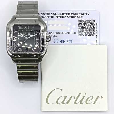 Cartier Santos WSSA0062 Steel Pioneering Spirit Excellent Condition