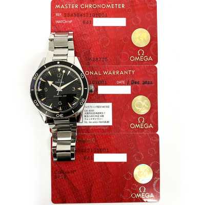 Seamaster 300M Co-Axial 41mm Stainless Steel