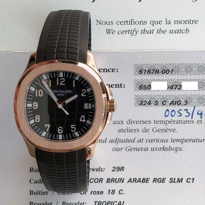 Aquanaut 40.8mm Brown Dial Brown Rubber Strap Rose Gold